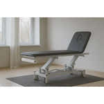Electric therapy table PRO 201, gray, two-section with backrest to +80°, height 43.5–90.5 cm, hand switch.