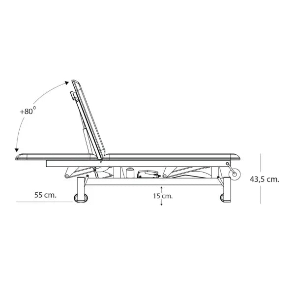 Therapieliege PRO 201 electrically adjustable therapy bed with two-part surface, backrest to +80°, height 43.5–90.5 cm.