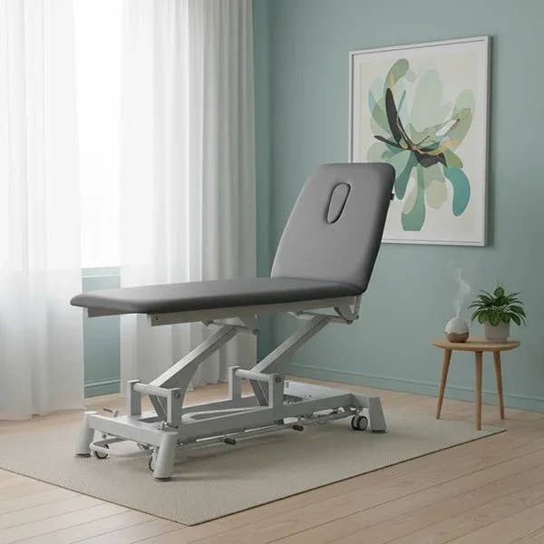 Therapieliege Titan-301 elektrisch mit 1 Motor, Behandlungsliege in Grau, höhenverstellbar mit Rückenlehne und Gaskolben.