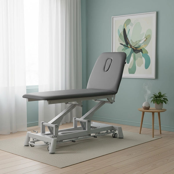 Therapieliege Titan-301 elektrisch mit 1 Motor, Behandlungsliege in Grau, höhenverstellbar mit Rückenlehne und Gaskolben.