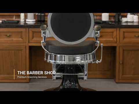 Barber stuhl in Silber – Schwarz, Herren Friseurstuhl Buzz, Barbershop stuhl - Tiptop - Einrichtung