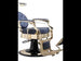 Eleganter Barber stuhl in Gold und Blau, Herren Friseurstuhl Buzz, Barbershop stuhl - Tiptop - Einrichtung